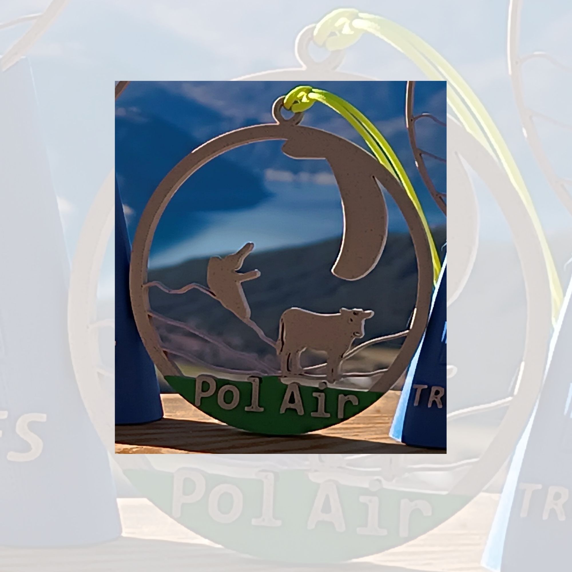 GALERIE-Médaille-pol-air
